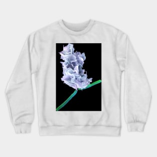 Neutrophil engulfing anthrax bacteria, SEM (C037/6137) Crewneck Sweatshirt